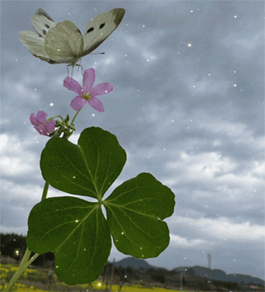 领奖ID归晚
