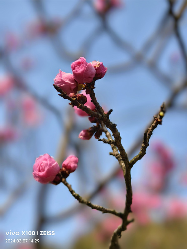 IMG_20240307_142920_副本.jpg