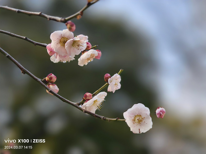 IMG_20240307_141509_副本.jpg