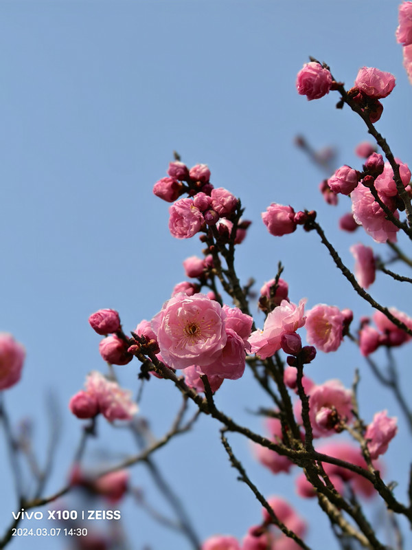 IMG_20240307_143026_副本.jpg