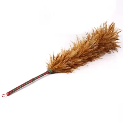 鸡毛掸子.webp.jpg