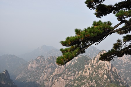 黄山.jpg
