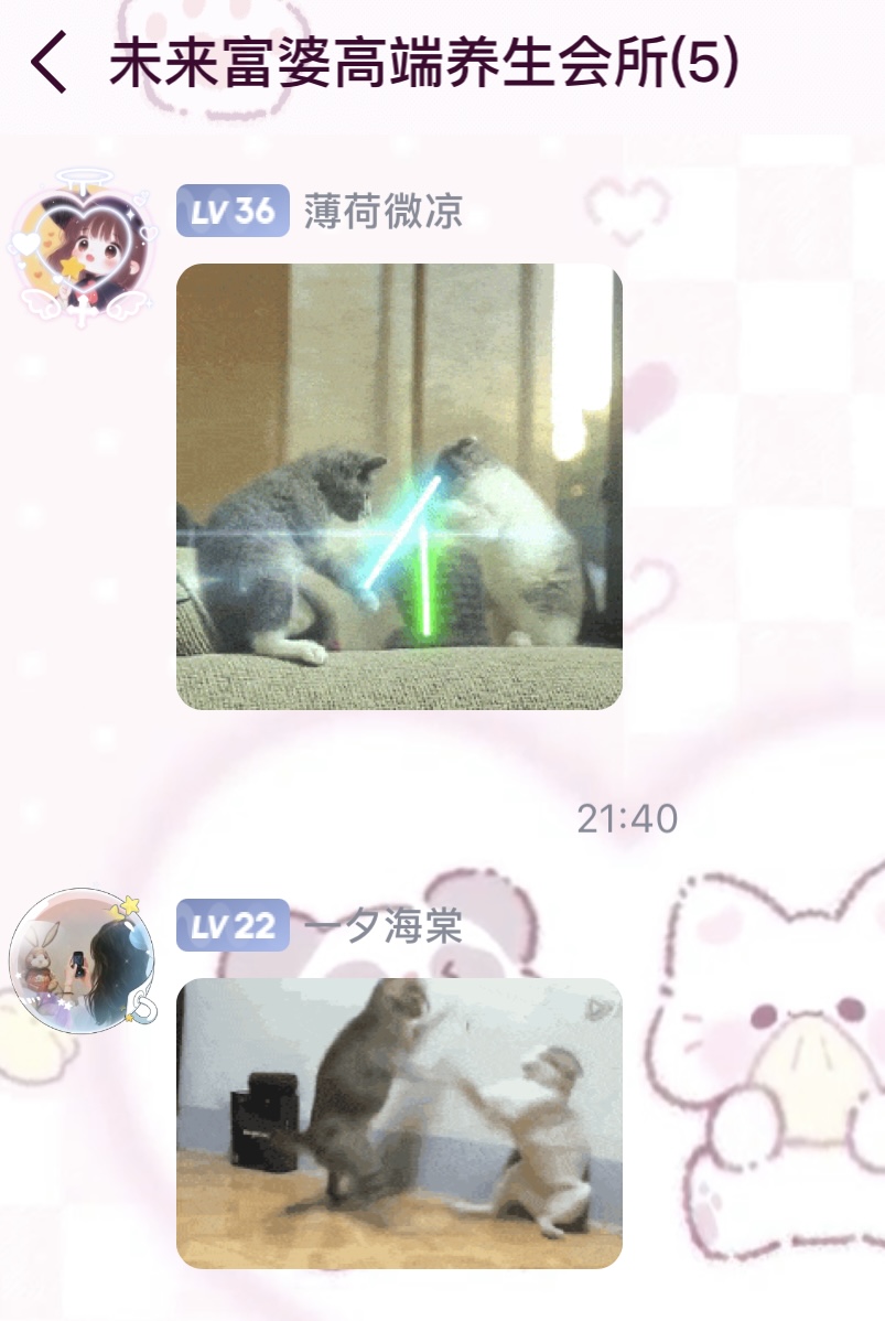 IMG_2466.jpeg