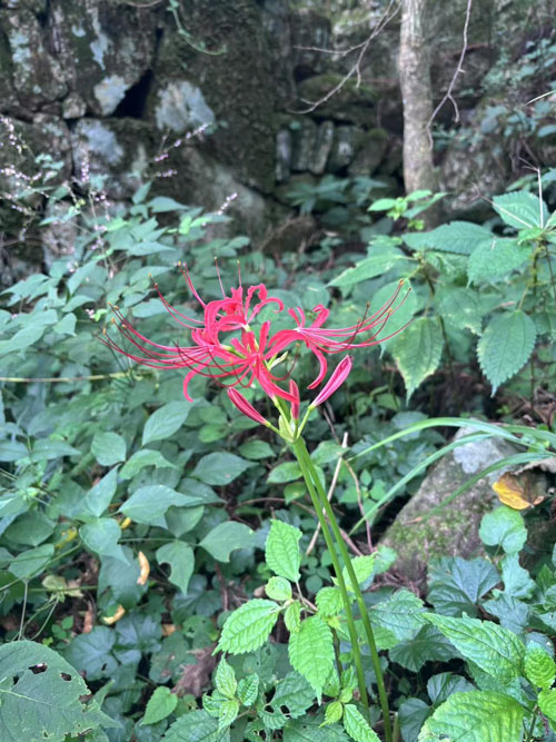未标题-1.jpg