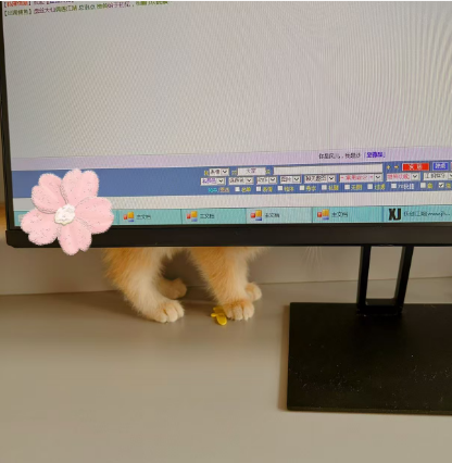 0e66ebbe-874b-4db0-87c3-1f37048f076b.png