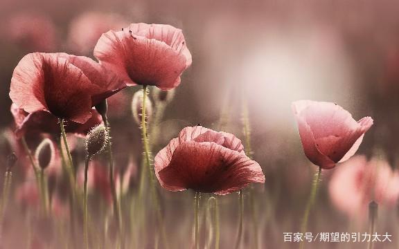 4610b912c8fcc3ceb8fac49b46e9958ed53f2096.jpeg