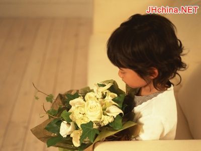 至金枝玉叶、站长、、