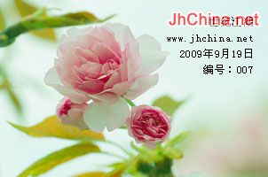 不褪色的爱-007.jpg