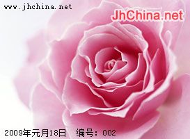 小雨-002.jpg