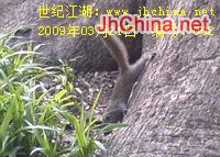 爱你一万年-002.jpg