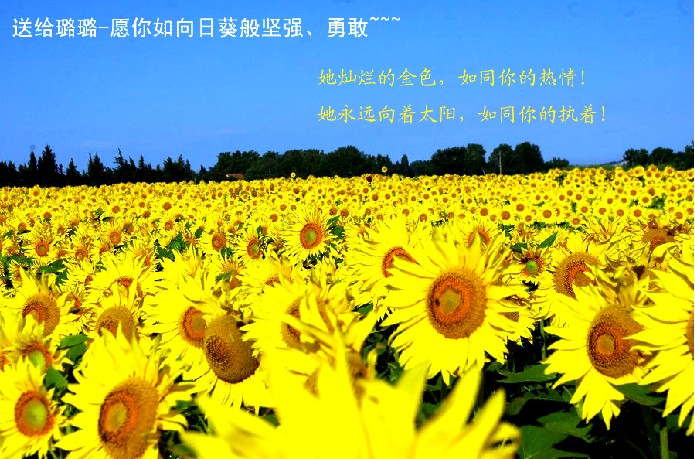 璐璐
