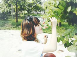 那一年合肥